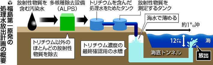 福島流出素人 TBS NEWS DIG